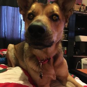 Meet your Posher, Maria